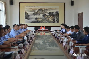 工作动态 | 聚焦法律事务代理 流程优化与专业提升